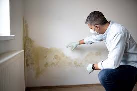 Best Forensic Mold Investigation in Tyler Run, PA